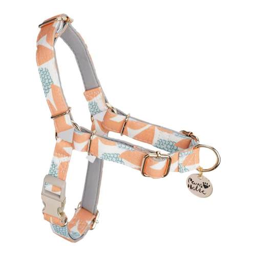 pawsholic爪迷狗狗胸背带防爆冲户外宠物牵狗牵引绳遛狗绳小型犬