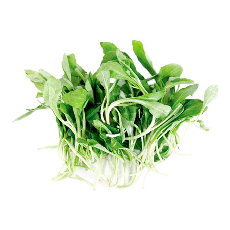 【沁蕊】新鲜马兰头蔬菜2斤马兰头鸡儿肠崇明岛直销湿的，偏老