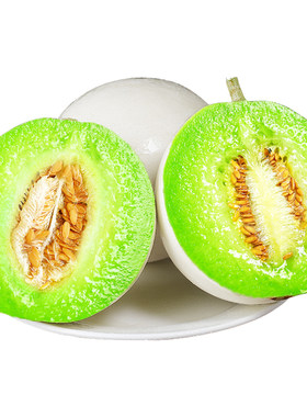 现摘冰淇淋玉菇甜瓜！甜蜜多汁！