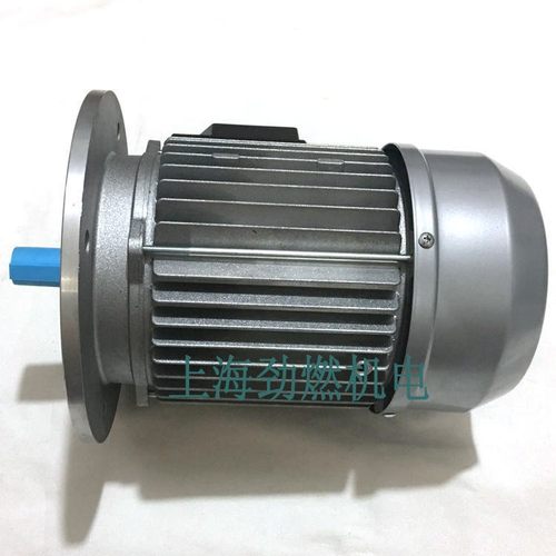 Type 52/80R-1100-2T IE3百得Baltur燃烧器用SIMEL电机0005010261