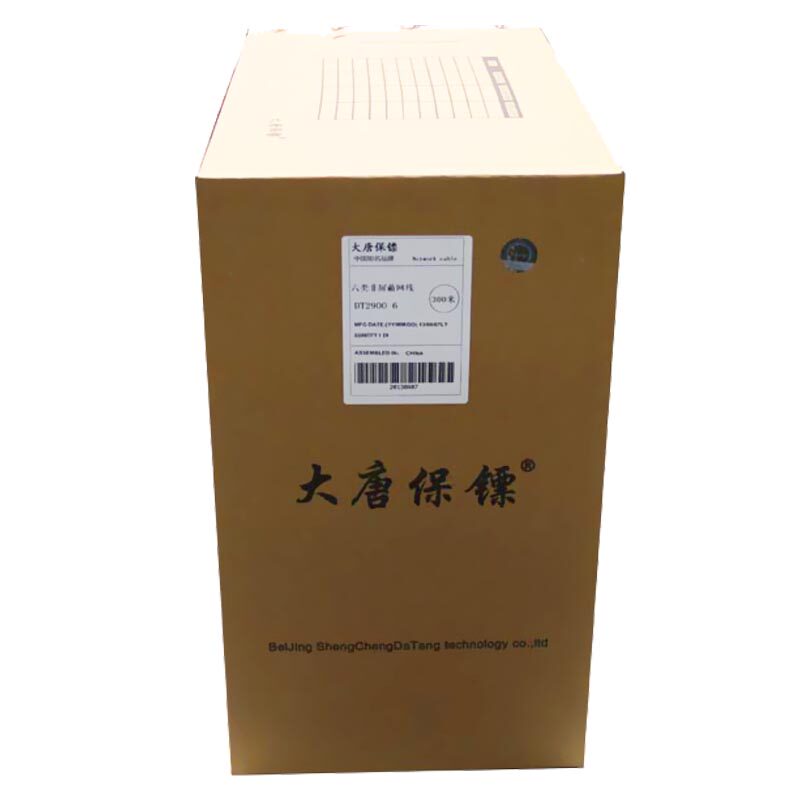大唐保镖DT2900-6大唐六类网线6类千兆无氧铜纯铜监控双绞线箱