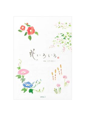 日本midori横线信纸精美
