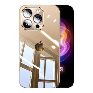 适用苹果16promax后膜iphone16pro手机ip15pro后背14puls钢化背膜11max12背面膜13后盖后壳背贴保护贴膜后屏