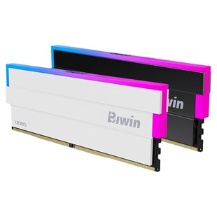佰维DW100 DDR5台式机RGB内存条16G*2/24G*2套装6000频率c28灯条