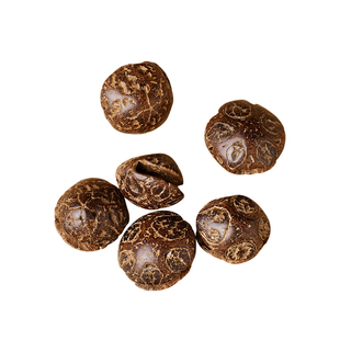 原创空灵子果壳镂空小众大鬼脸菩提文玩配件diy果壳风铃材料