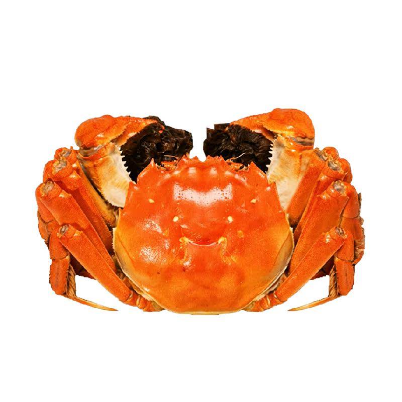 渔传播固城湖大闸蟹足重3.0全母螃蟹特大4.0公河蟹海鲜现货礼盒