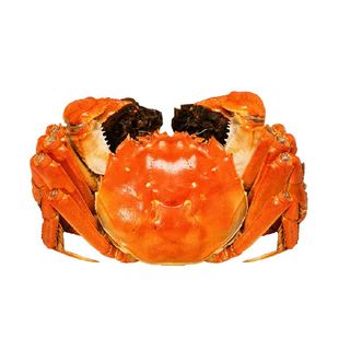 渔传播固城湖大闸蟹足重3.0全母螃蟹特大4.0公河蟹海鲜现货礼盒