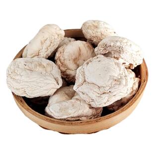 福子恒口蘑人工筛选口蘑干货张家口坝上口蘑白蘑煲汤火锅食材年货