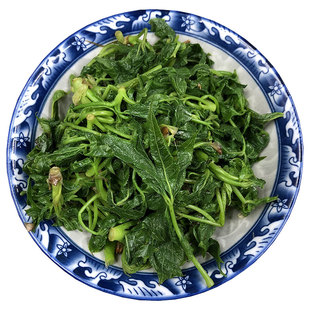 东北野生山野菜刺五加叶新鲜冷冻2斤蘸酱菜现采现发限区快递包邮