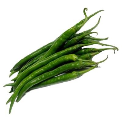 长龙早熟抗病高产采收期线椒种子