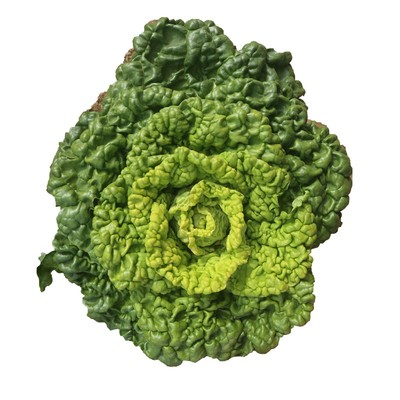 蟋蟀牌黄心乌乌塌菜种子