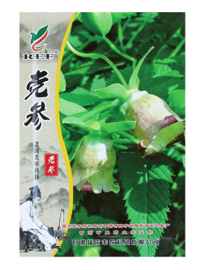 桔梗当归党参柴胡四季中药材种子