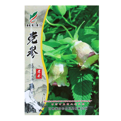 桔梗当归党参柴胡四季中药材种子