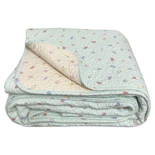 2025新款双面用斜纹纯棉床盖夹棉加厚床单四季通用榻榻米绗缝褥垫