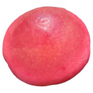 状态不错 大灯泡】一物一拍 红灯泡 肉锥多肉植物 考拉农场