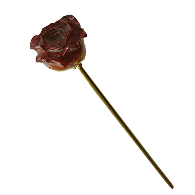 发簪手作复古天然真干花发饰