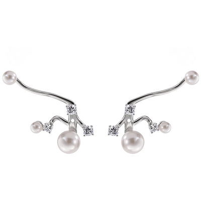 独特漂亮锆石珍珠耳钉轻奢高级感气质大气耳环2025新款爆款巨好看