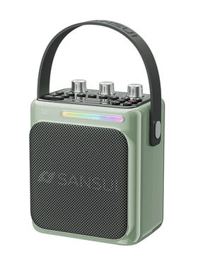 Sansui/山水T80便携手提蓝牙音箱