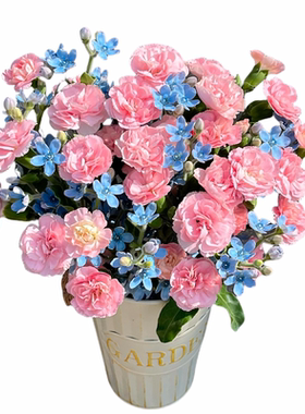 康乃馨蓝星花混搭花束云南直发