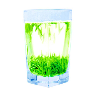 2025年新茶湖北宜昌五峰高山芽毛尖头采嫩芽茶绿茶散装茶叶