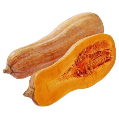 云南老南瓜农家自种宝宝辅食