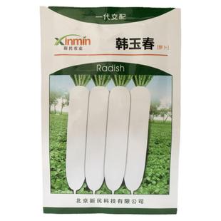 韩玉春白萝卜种子种孑白萝卜种籽大全四季北南方秋季菜籽种菜水果