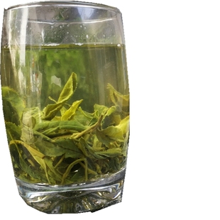 茶叶2025年新茶绿茶绩溪炒青农家手工炒制高山野茶口粮茶耐泡500g