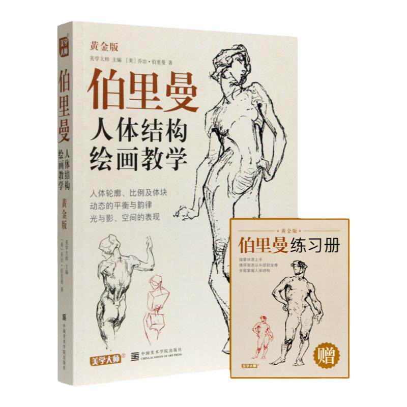 黄金版伯里曼人体结构绘画教学