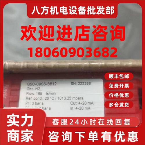 议价VOGTLIN气质量流量计 GSC-C9SS-BB12 165lS/min 4-20mA  2222