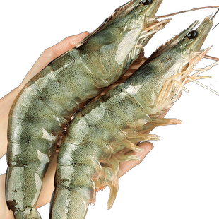 大虾特大基围虾鲜活超大青虾冷冻鲜对虾青岛速冻海虾虾类海鲜水产