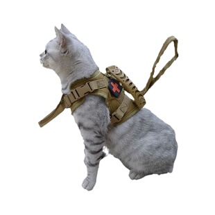 猫咪牵引绳胸背带战术马甲衣服链子外出背心式遛猫小型狗幼犬套背