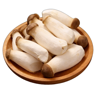 【沙窝】杏鲍菇产地严选新鲜蔬菜健康好吃现摘现发