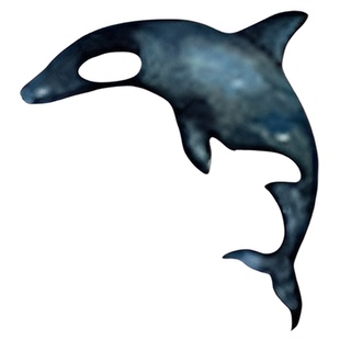 再变 海洋世界艺术家合作款彩色纹身贴女持久海豚小清新防水贴纸