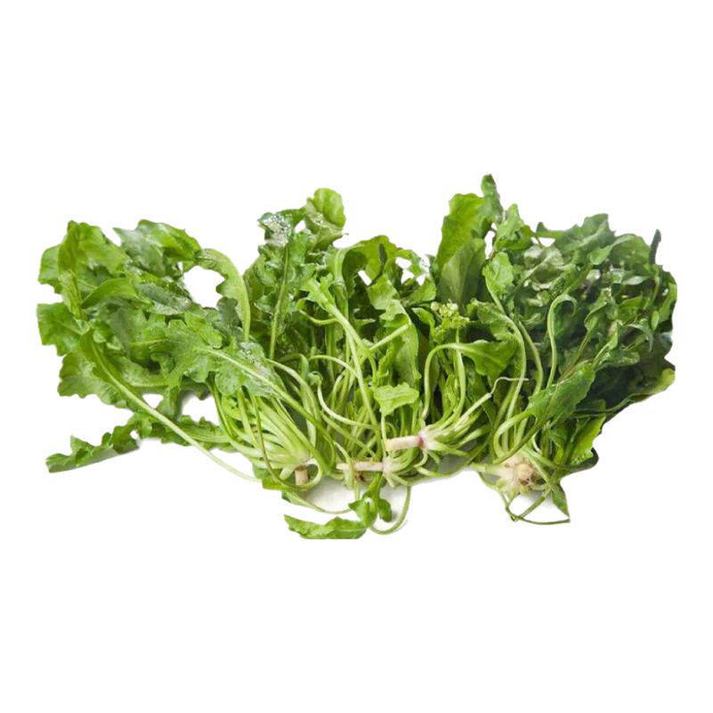 【沁蕊】新鲜荠菜500g 嘻嘻菜包子饺子馅荠菜