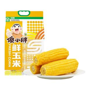 【头茬玉米】傻小胖内蒙古鲜糯玉米新鲜甜玉米早餐黏真空非转基因