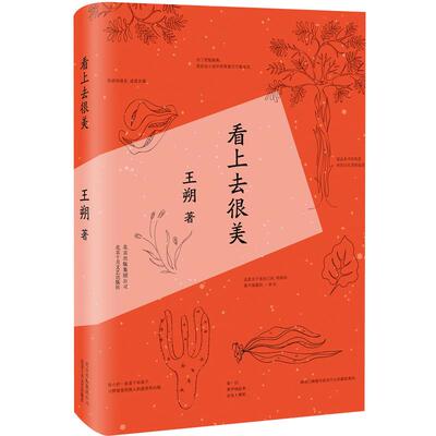 看上去很美王朔旗舰店正版