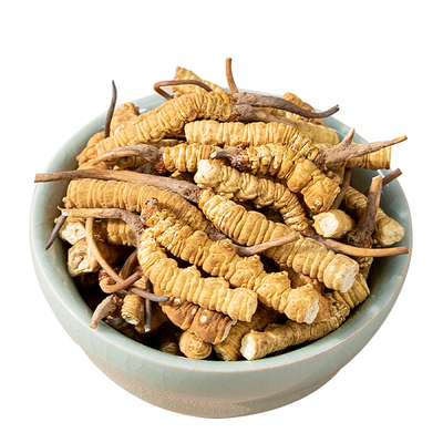 那曲冬虫夏草大号断草10克装