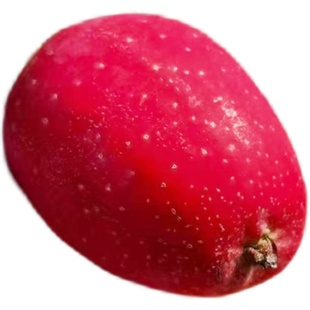 新鲜应季东北鸡心果大秋果沙果海棠果龙丰果吉林苹果水果包邮