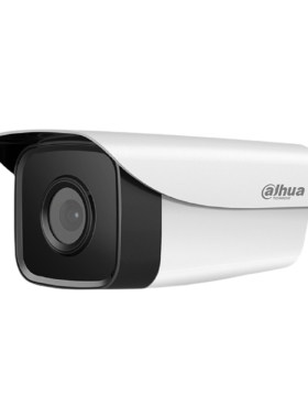 大华200万网络防水监控器摄像头