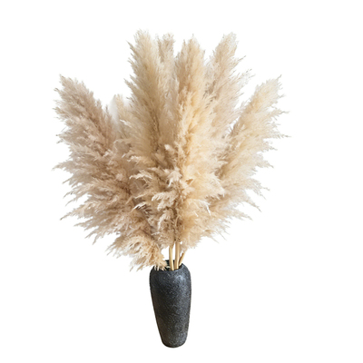 网红大芦苇蒲苇干花永生花束