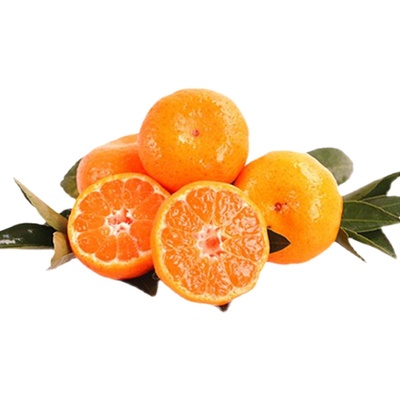 新鲜现摘水果蜜桔南丰桔子小橘子