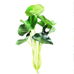 仿真迷你小荷叶铜钱草金钱叶假花绿色植物装饰玻璃陶瓷花瓶花插