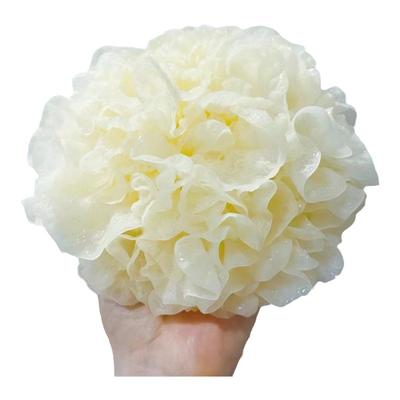 辰颐物语福建古田新鲜银耳