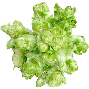 脆嫩儿菜种子蔬菜豌豆香菜菠菜白菜生菜芹菜萝卜菜籽葱种大全四季