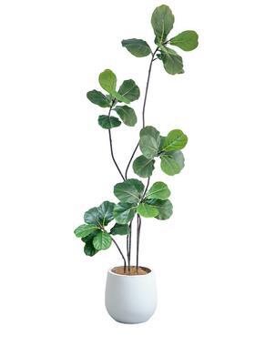 仿真绿植琴叶榕落地盆栽仿生植物