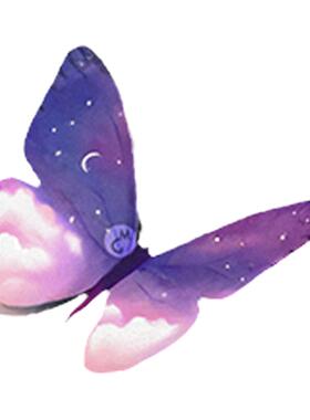 浪漫星夜蝴蝶图案文艺少女纹身贴