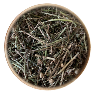 精选 中药材 珍珠透骨草 50g 可打粉 满包邮
