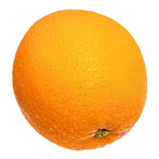 顺丰{礼盒装}秭归九月红橙子正宗秭归脐当季新鲜橙孕妇水果柑橘子