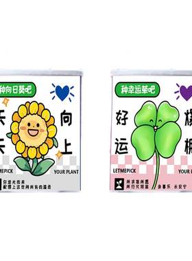 桌面小盆栽升级版简单耐活