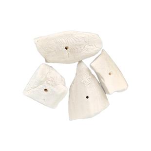 宠物用品墨鱼骨打磨脱盐小断片打孔鹦鹉鸟类用品磨牙补钙鹦鹉鸟粮